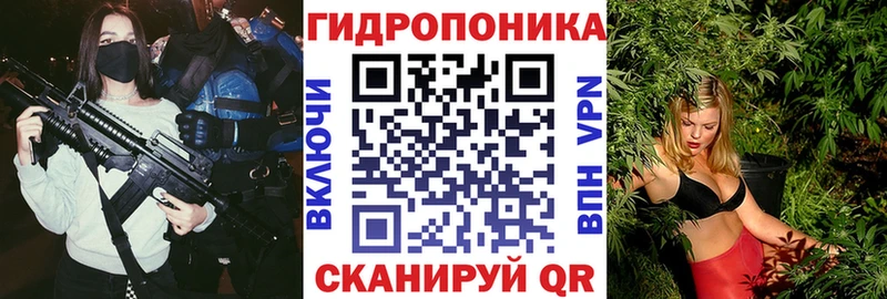 Как найти наркотики Ядрин Кодеин  А ПВП  Галлюциногенные грибы  Меф мяу мяу  Конопля 